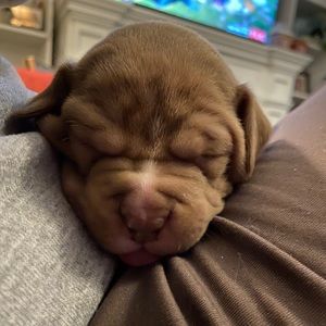 Meet your Posher, Janelle